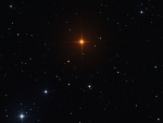 R Leporis A Vampire's Star
