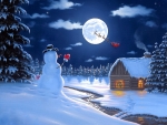 Christmas Moonlight