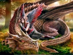 World of Dragons