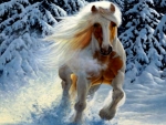 Snow Horse