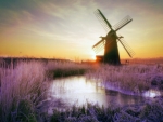 Winter Windmill
