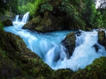 Beautiful Green Forest River Waterfalls