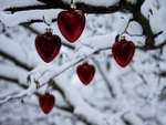 Winter Hearts