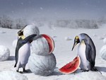 Winter Penguins