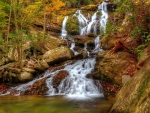 Autumn cascades