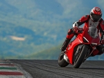 Panigale V4 S Action