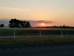 Sunrise over the Waikato