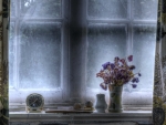 winter window