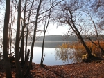 Lake in Late Autumn