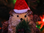 Merry Merry Hedgehog