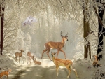 Winter Deer