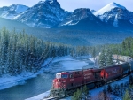 Rail Transport in the Canadian Rockies