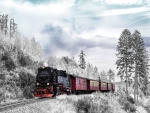 winter train