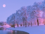 Winter Evening
