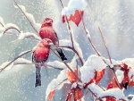 Birds in snow