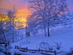 Winter at sunset