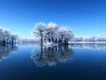 Snow Water Trees