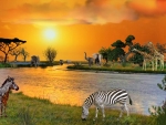 sunsets-river-african-animals-zebra-rivers-elephants-sunset-giraffes-nature-africa-hd-iphone-wallpaper.jpg