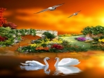 sunset-romance-beautiful-cute-flowers-yards-pretty-birds-swans-couples-wallpaper-pictures-