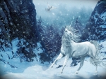 Winter Unicorn