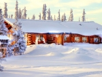Winter House