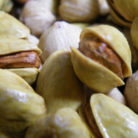 Pestachio