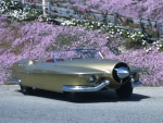 1953 manta ray