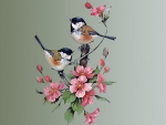 Painted Chickadees