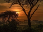 African Sunset