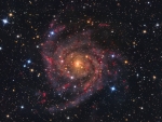 IC 342 The Hidden Galaxy