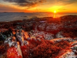 Golden Sunset Over The Rocky Coast