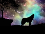 Wolf Howling