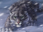 Snow Leopard