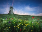 Whitburn Windmill, United Kingdom
