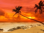 Tropical Sunset
