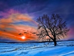 Beautiful Winter Sunset