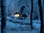 House in a Snowy Forest