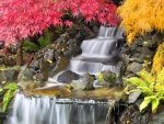 Autumn Waterfall