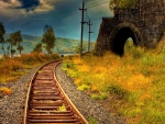 Railroad Tracks