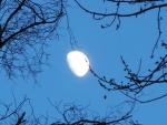 They Caught the Moon! :P  :D