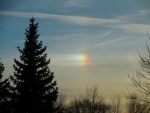 Sundog  & Pine Tree