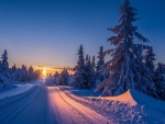 winter road