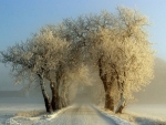 winter road