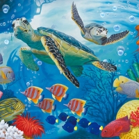 Sea Turtles