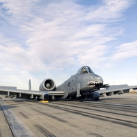 "OOPS" Forgot The Wheels!!!