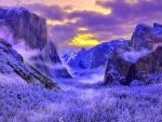 Frozen Yosemite National Park