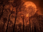 Orange full moon