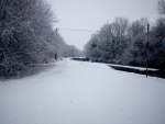 Canal in winter
