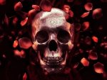 Skull and Rose Petals