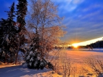 winter sunset